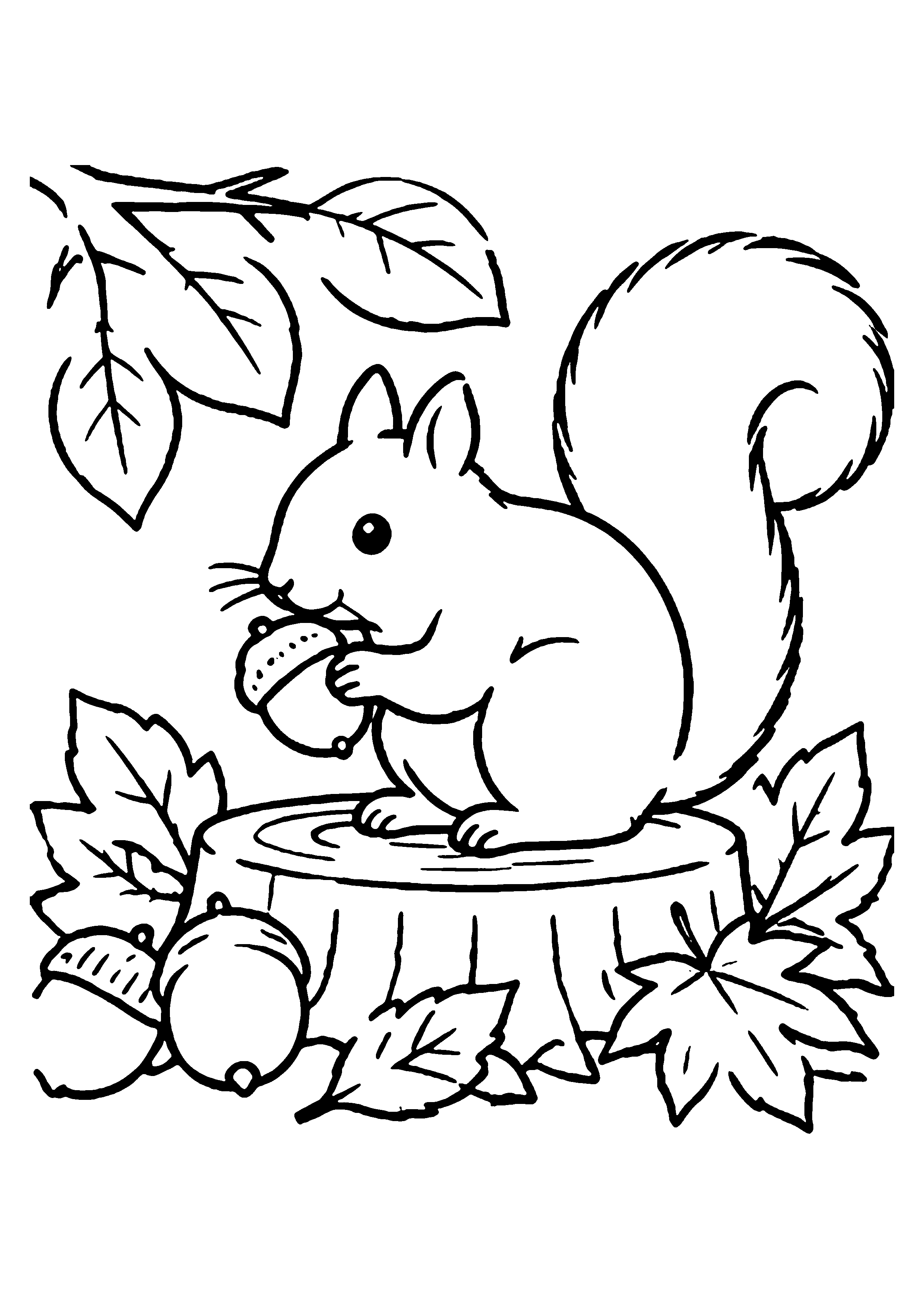リスとどんぐりの塗り絵プリント見本